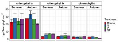 Nutrient Exposure Alters Microbial Composition, Structure, and Mercury Methylating Activity in Periphyton in a Contaminated Watershed